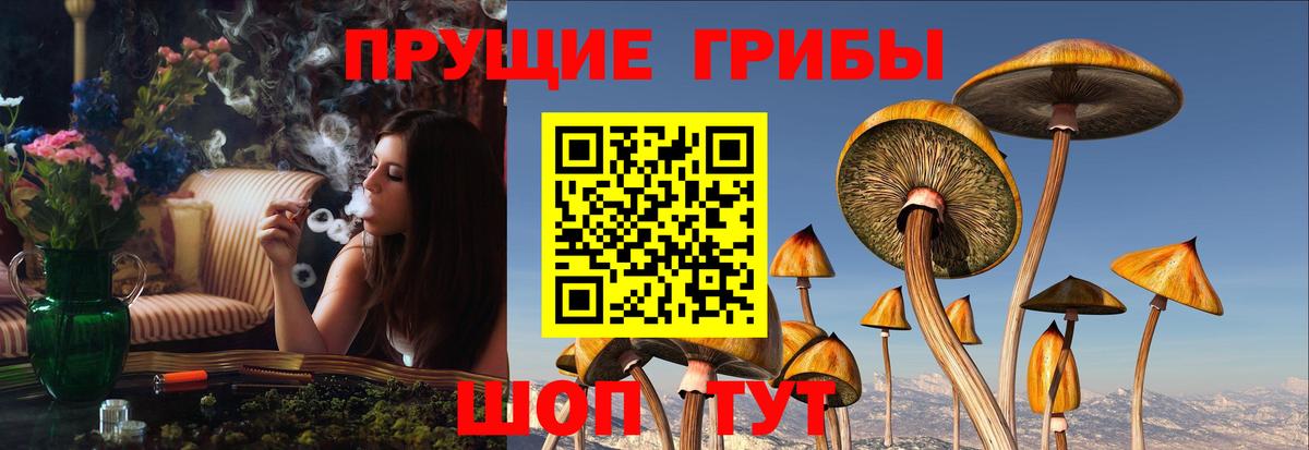 Галлюциногенные грибы Magic Shrooms Прохладный