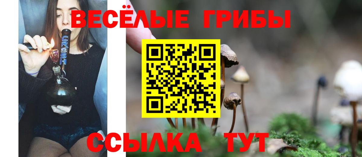 Прохладный  Псилоцибиновые грибы прущие грибы  Вход с VPN  Псилоцибиновые грибы GOLDEN TEACHER 