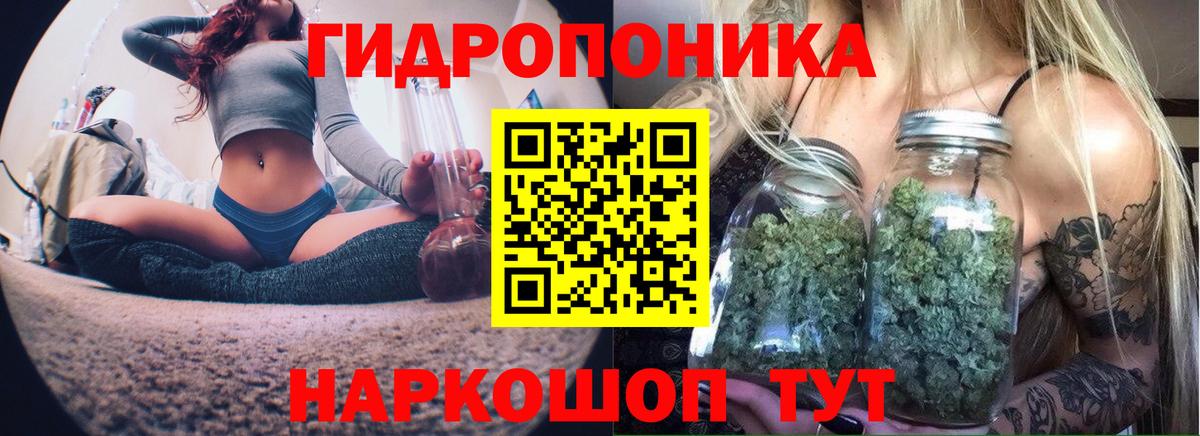 МАРИХУАНА MAZAR Прохладный